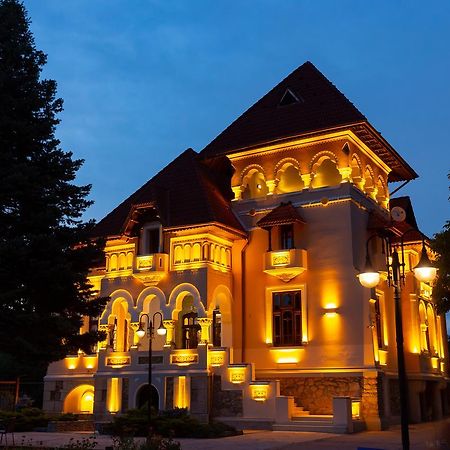 Отель Casa Danielescu Тыргу-Жиу Экстерьер фото